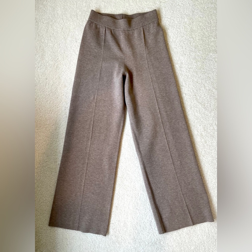 Aritzia Souvenir Pant size small deep taupe never worn